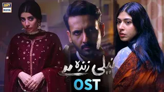 Pakistani Drama Neeli Zinda Hai | ARY digital | details