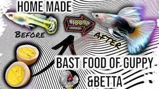 HOW TO FEEDING GUPPY & BETTA FISH FRY EGG YOLKS??||BEAST FOOD FOR FISH FRY'S||GUPPY BREEDING❤️❤️