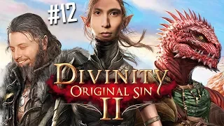 SingxGorgc CO-OP: Divinity ORIGINAL SIN II #12