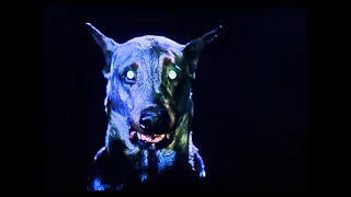 ZOLTAN… HOUND OF DRACULA (DRACULA'S DOG) Movie Review (1977) Schlockmeisters #110