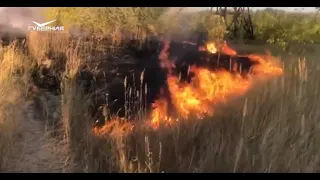 Сотрудники Росгвардии спасли от огня два дачных поселка в Кинельском районе