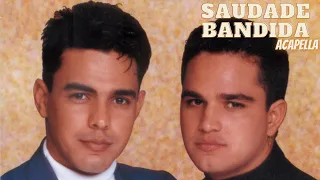Saudade Bandida - Zezé Di Camargo e Luciano Acapella