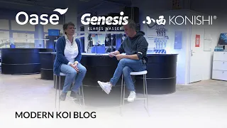 Modern Koi Blog #5909 - Können Algenvernichter einen Säuresturz auslösen