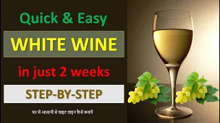 DIY Italian White Wine | Homemade Easy Grape Wine 🍷 | in Hindi | Good for Health | 20% Alcohol #wine