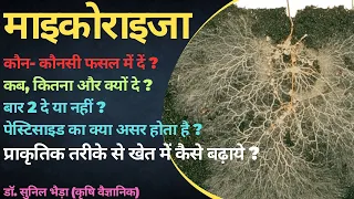 माइकोराइजा जब खेतव की मिट्टी में है तो क्यों दें ? कब, कितना और कैसे दें ? #mycorrhiza #mycorrhizae