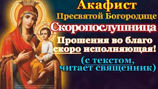 Акафист Пресвятой Богородице пред иконой Скоропослушница, молитва Божией Матери о скорой помощи