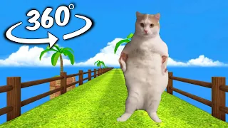 Cat Dances To Girlfriend chase you But it's 360 degree video #2