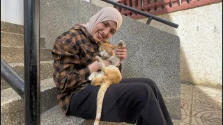 Friendly cat Ginger says hello to the cut family.