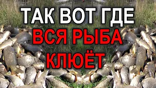 Рыба не Клюёт на Удочку? Смотри Видео!! ГДЕ ВСЯ РЫБА КЛЮЁТ!!