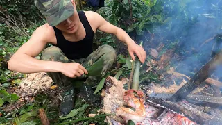 make a survival shelter in the rain forest and grill meat to eat|share wild life|