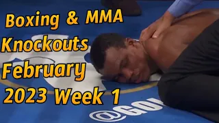 Boxing & MMA Knockouts - February 2023 - Week 1