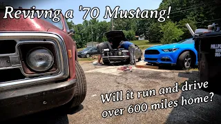 1970 Mustang REVIVED! Will it make it 650+ miles?
