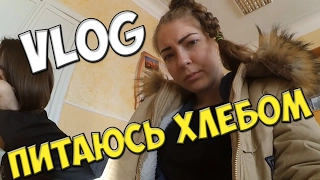 VLOG: ПИТАЮСЬ ХЛЕБОМ// Виктория Матвеева