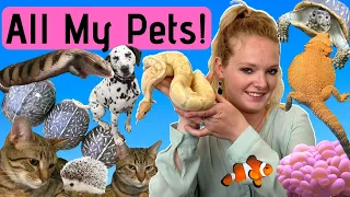 Meet All My Pets!!!