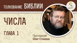 Числа. Глава 1. Протоиерей Олег Стеняев. Толкование Ветхого Завета. Книга Чисел. Толкование Библии