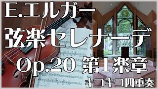 E.エルガー ／ 弦楽セレナーデ ホ短調 Op.20 第1楽章　E.Elgar ／ Serenade for Strings in E Minor, Op. 20 1stmovement