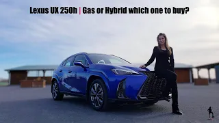 2023 Lexus UX 250h: Gas or Hybrid which one to buy?