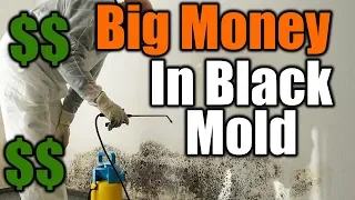 Big Money In Black Mold | THE HANDYMAN BUSINESS |