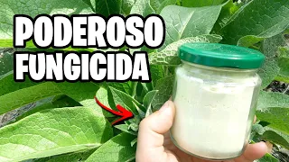 ADIÓS ENFERMEDADES en tus Plantas 🌿 Fungicida y Repelente Natural de Azufre | La Huerta de Ivan