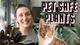 9 Pet Safe Plants 🪴🐈 less common non-toxic houseplants