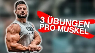 Wie viele ÜBUNGEN pro Muskel MUSST Du machen? (1, 2 oder 5 Übungen?)