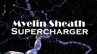 Myelin Sheath Supercharger (Morphic Field)
