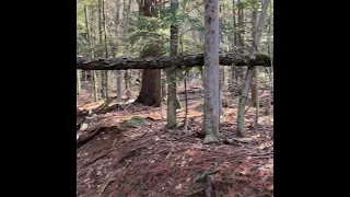 Buck Mountain - Trail Maintenance