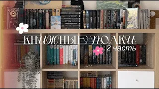 КНИЖНЫЕ ПОЛКИ📚🤍/ 2 часть