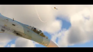 INSANE R-73 KILL - SU-27