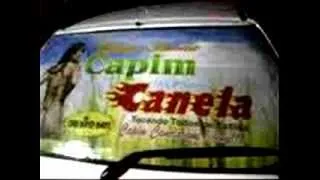 Uenio e banda Capim Canela 8