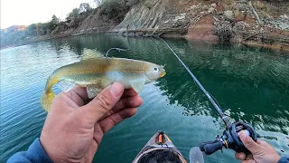 Fishing BIG BAITS ONLY (Viewer inspired)