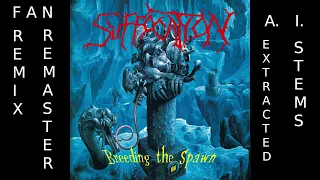 Suffocation - Beginning Of Sorrow (Fan re-mix/master with A.I. extracted stems)