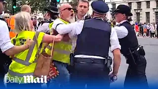 ULEZ protest boils over: Police officers wrestle with raging protesters outside Downing Street