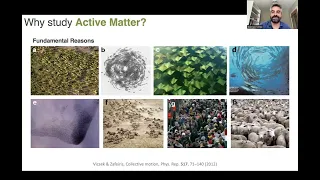 Emergence in the interaction of active and passive particles | Prof. Giorgio Volpe | #ucl #iiserpune