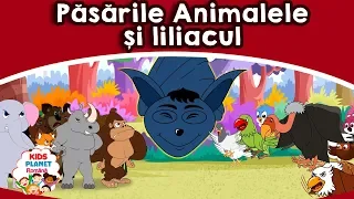 Păsările 🦁Animalele și 🦇liliacul | Povesti Pentru Copii In Romana | Basme În Limba Română