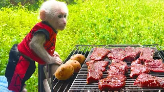 Bibi monkey helps his family Grill Beef Sausage at the Weekend