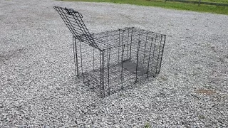 DIY Live Trap from Dog Kennel