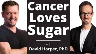 CANCER Hates this Diet [Keto Prevents & Treats Cancer] David Harper, PhD