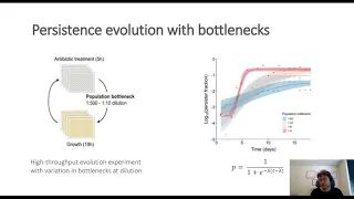 Population bottlenecks strongly affect the evolutionary dynamics of antibiotic persistence
