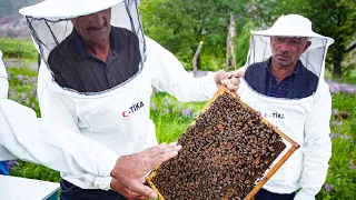 В Гиссарском районе Таджикистана собирают экологический мед