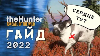 TheHunter  Call of the Wild / 2022 / Гайд для новичков / Как лучше охотиться?