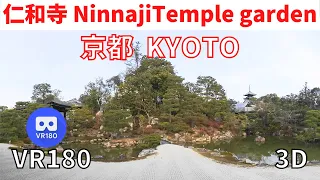 VR180  Japan KYOTO Ninnaji garden 京都 仁和寺 02 日本庭園