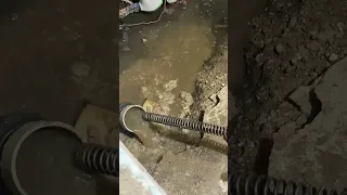 Cutting tree roots out of a backed up sewer line. #HandsomeOrHandy  #Handyman #Plumbing