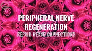 Peripheral Nerve Regeneration | Repair Nerve Connections | Elevate Nerve Growth | 741 Hz Healing