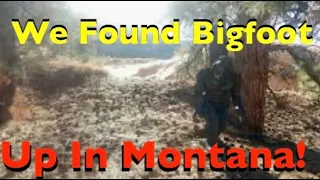 We found Bigfoot #bigfoot