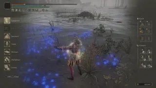 Pvp against Death from puss in boots in elden ring