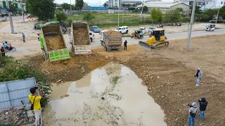Really Great! Operator Driver Bulldozer & Dump Truck Working Push, Moving Stone Filling into Water