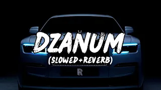 Dzanum - Teya Dora (Slowed+Reverb)