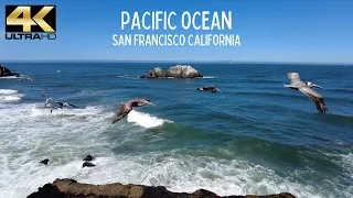 PACIFIC OCEAN | SAN FRANCISCO CALIFORNIA | MUSIC 4K 🎧