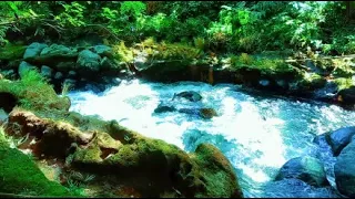 Relaxing Mountain Stream Flowing, River Sounds, White Noise, Nature Sounds for Sleeping.